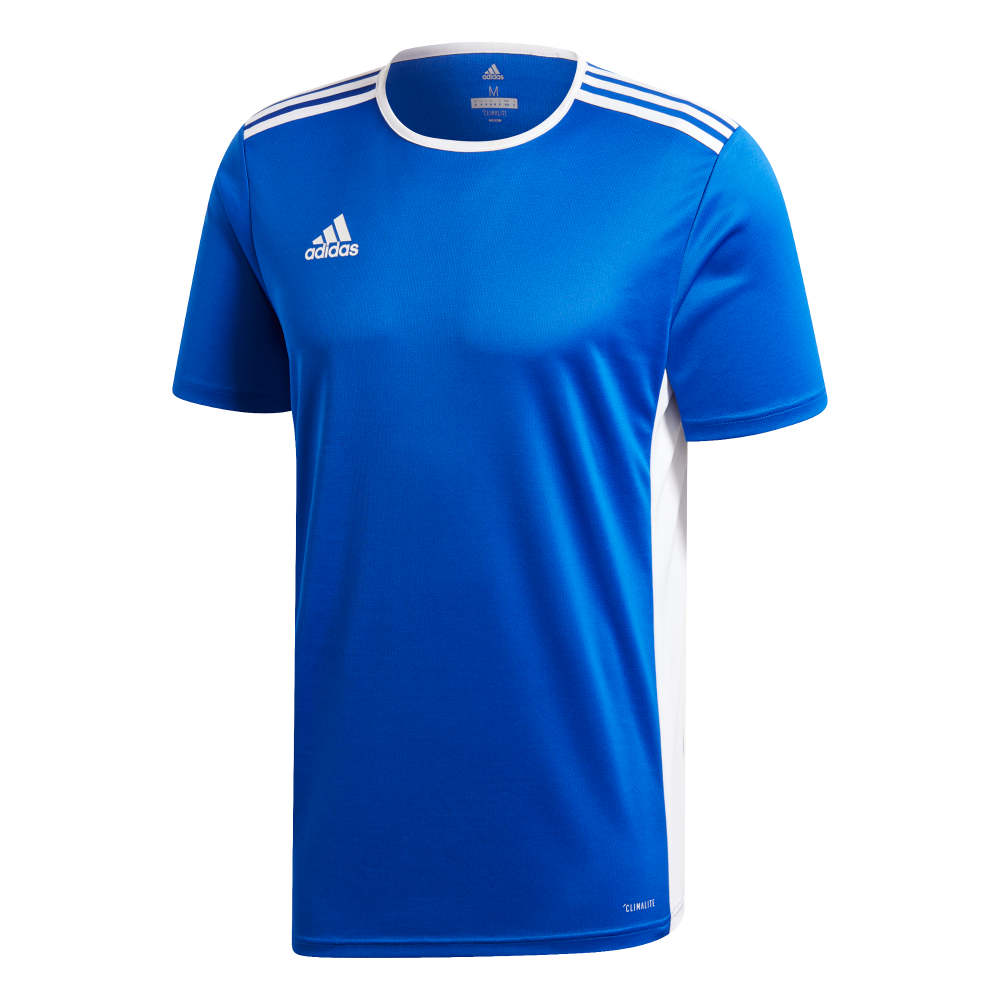 Adidas entrada 19 shop