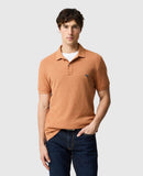 The Gunn Polo - Sunset