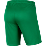Nike Park Knit Short - Adult - Pine Green