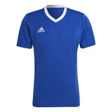 Adidas Entrada Jersey - Royal Blue - Youth