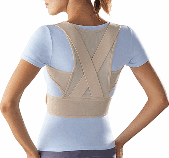 LP Posture Support Brace