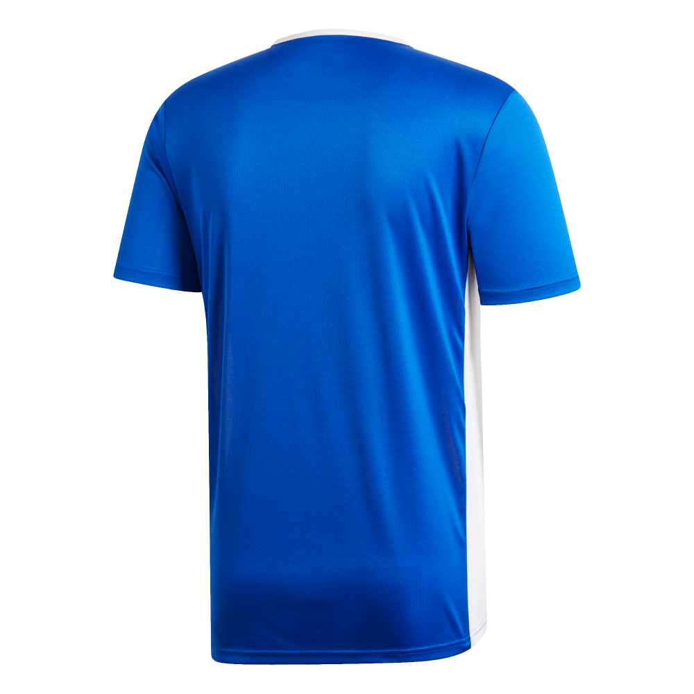 Adidas entrada 19 deals